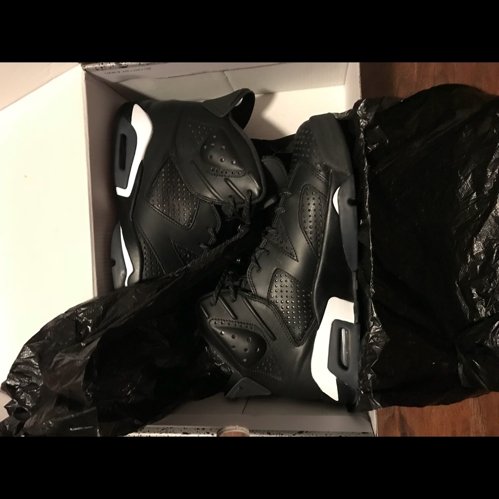 Air Jordan retro 6 black cat